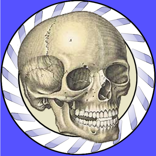 Speed Bones Lite (Quiz) app icon