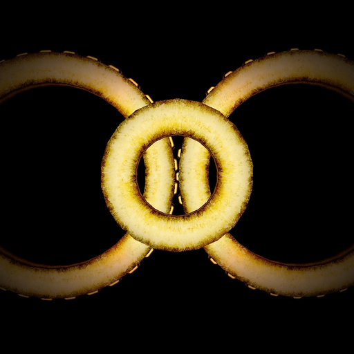 Maya 3D app icon