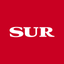 Diario Sur icon