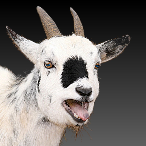 Monty Doors app icon