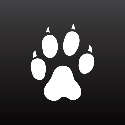 Cheetah app icon