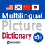 Multilingual Picture DIC icon