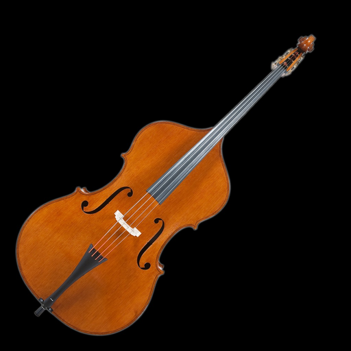 Double Bass Tuner Simple app icon