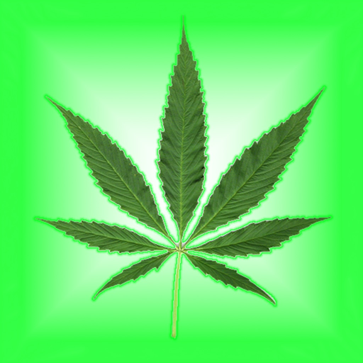 Drug Addiction: Alcoholics & Narcotics Companion app icon