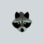 Raccoon Sounds icon