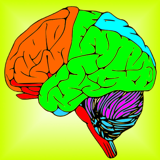 Brain & Nerves: The Human Nervous System Anatomy app icon