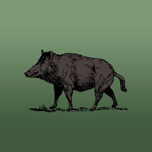 Wild Hog Sounds app icon