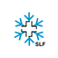 White Risk icon