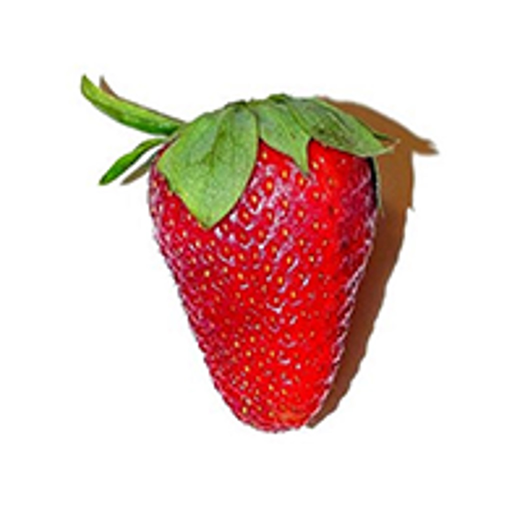 Food Inventory app icon