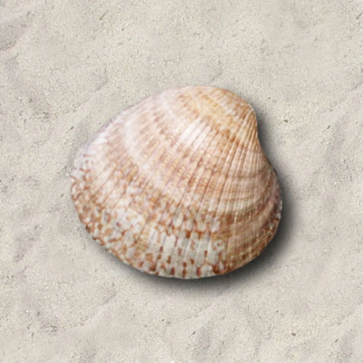 ZenShell app icon
