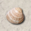 ZenShell icon