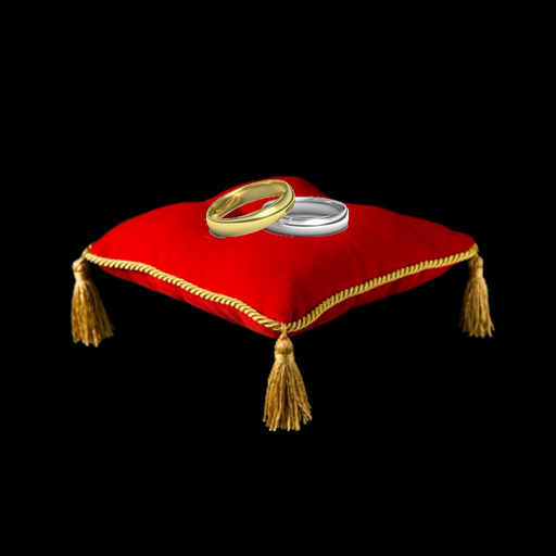 Wedding Ring Sitter app icon