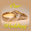 Our Wedding Countdown icon
