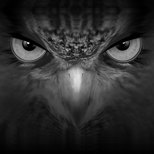 EagleEyes-lite app icon