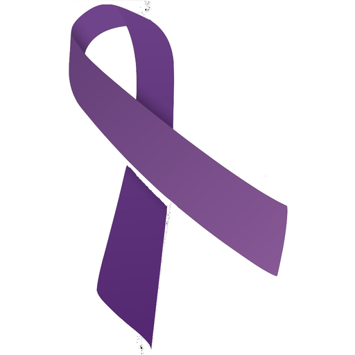 Domestic Violence Information app icon