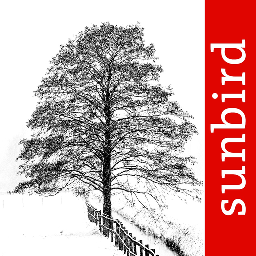 Winter Tree Id - British Isles app icon