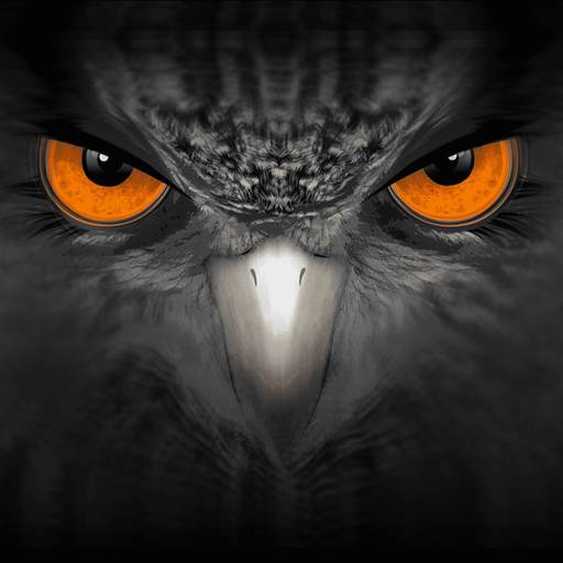 EagleEyes-plus app icon