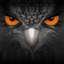 EagleEyes-plus icon