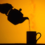 Camellia Tea Timer icon