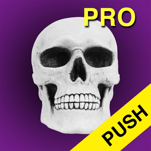 Halloween Countdown Pro Push app icon