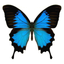 MyMotion Free icon