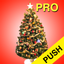 Christmas Countdown Pro Push icon