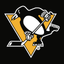 Pittsburgh Penguins icon