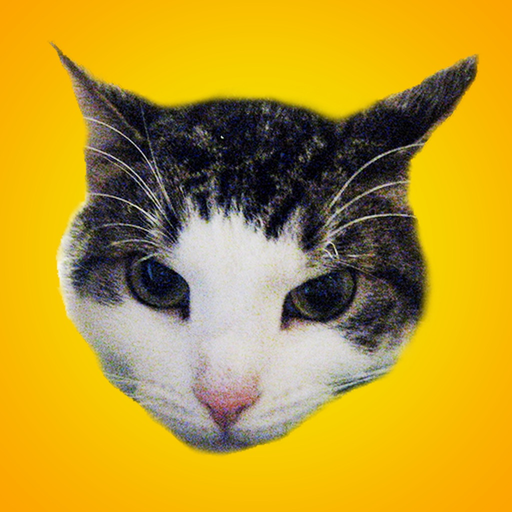 Kids Cat Jokes! app icon