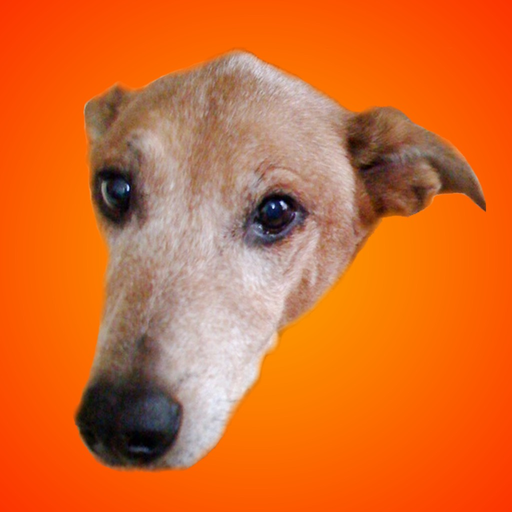 Dog Jokes 4 Kids! app icon