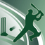 Cricket Power-Play icon
