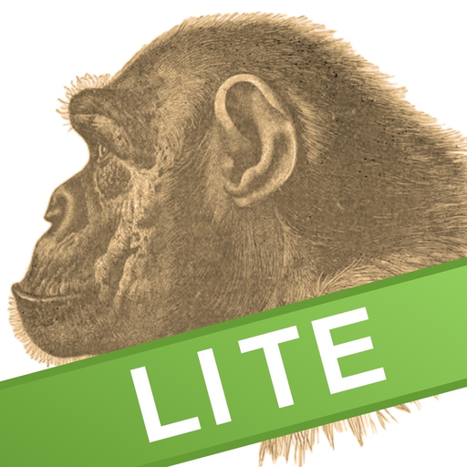 Ape Test Lite app icon