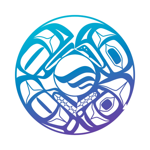 NVS Explorer app icon