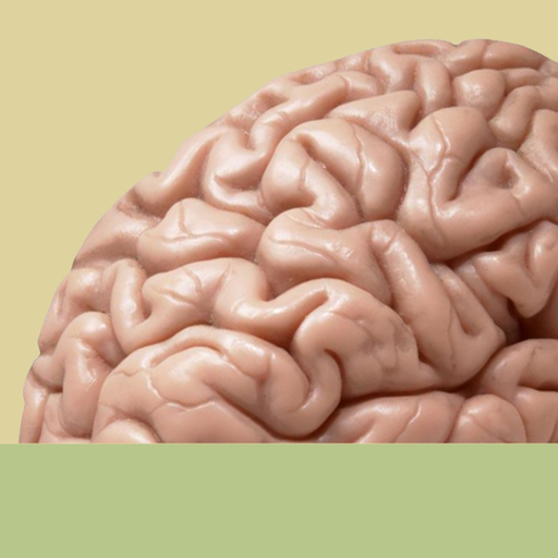 Brainstorm by Allinson app icon