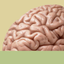 Brainstorm by Allinson icon