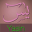 Yasin icon