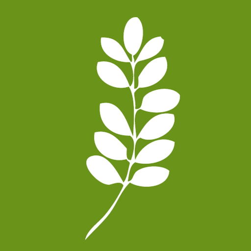 Patient Journal app icon