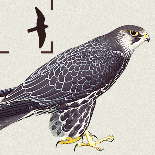 Birds of Northern Europe app icon