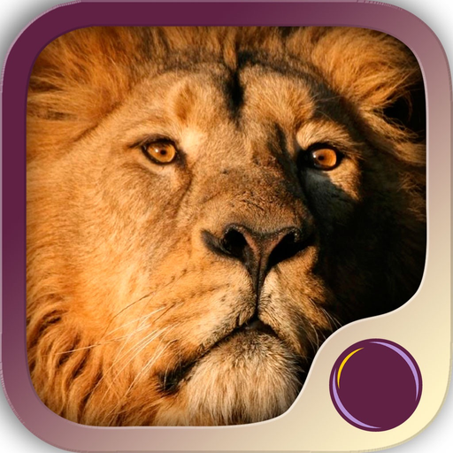 Spirit Animal Power app icon