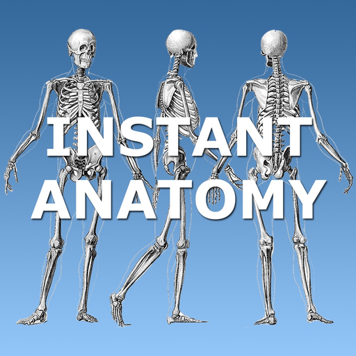 Anatomy Lectures and MCQs app icon