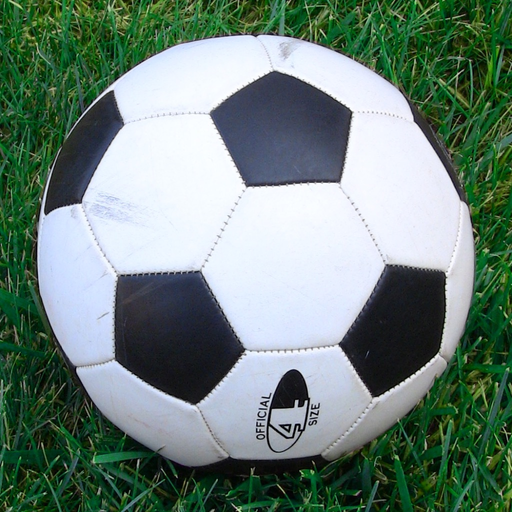 Soccer Dad app icon