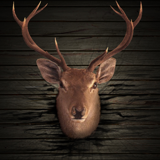 Buck Bear Hunter 2016- free deer hunting games app icon