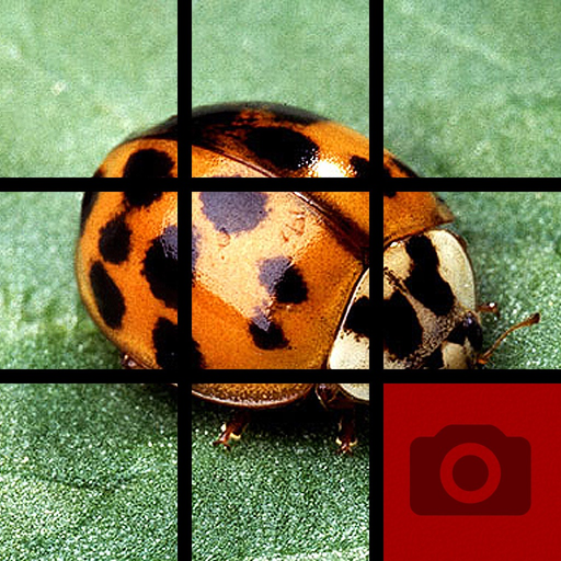 Picture Tile Slider app icon