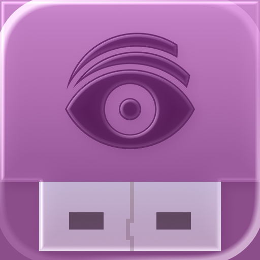 USB Disk app icon