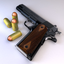 Guns & Ammo : Point of Impact Reloaded icon