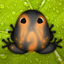 Pocket Frogs: Tiny Pond Keeper icon