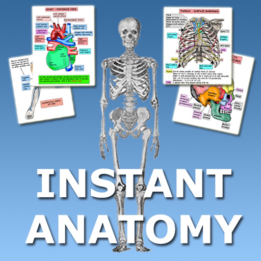 Instant Anatomy Flash Cards app icon