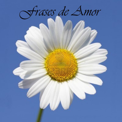 Frases y Consejos de Amor app icon