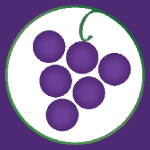 WTSO app icon