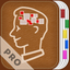Headache Diary Pro icon