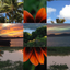 Pix It Up icon
